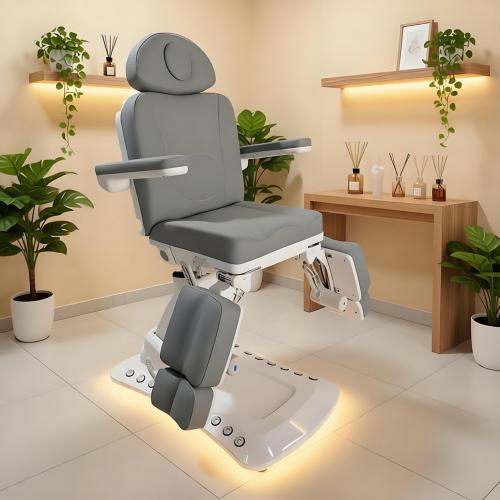 Commercial Furniture Electric Beauty Bed